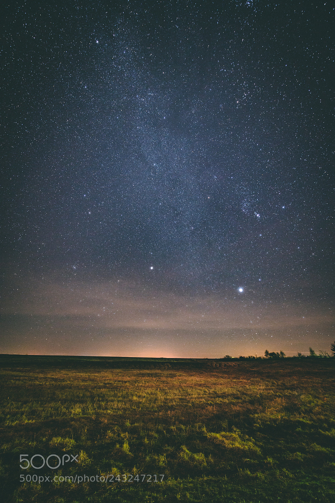 Nikon D4 sample photo. Under the stars photography
