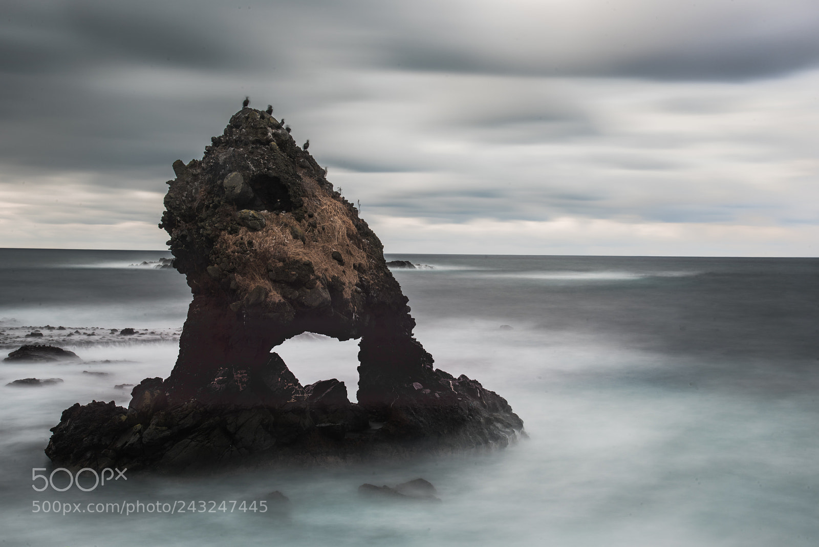 Nikon D810 sample photo. Cloudy skies and rough photography