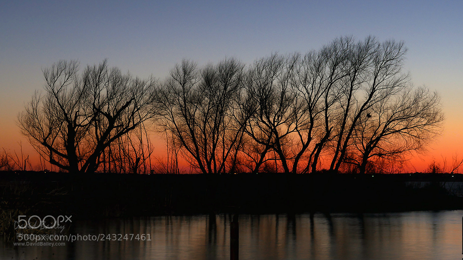 Panasonic Lumix DMC-G7 sample photo. Grapevine lake at sunset photography