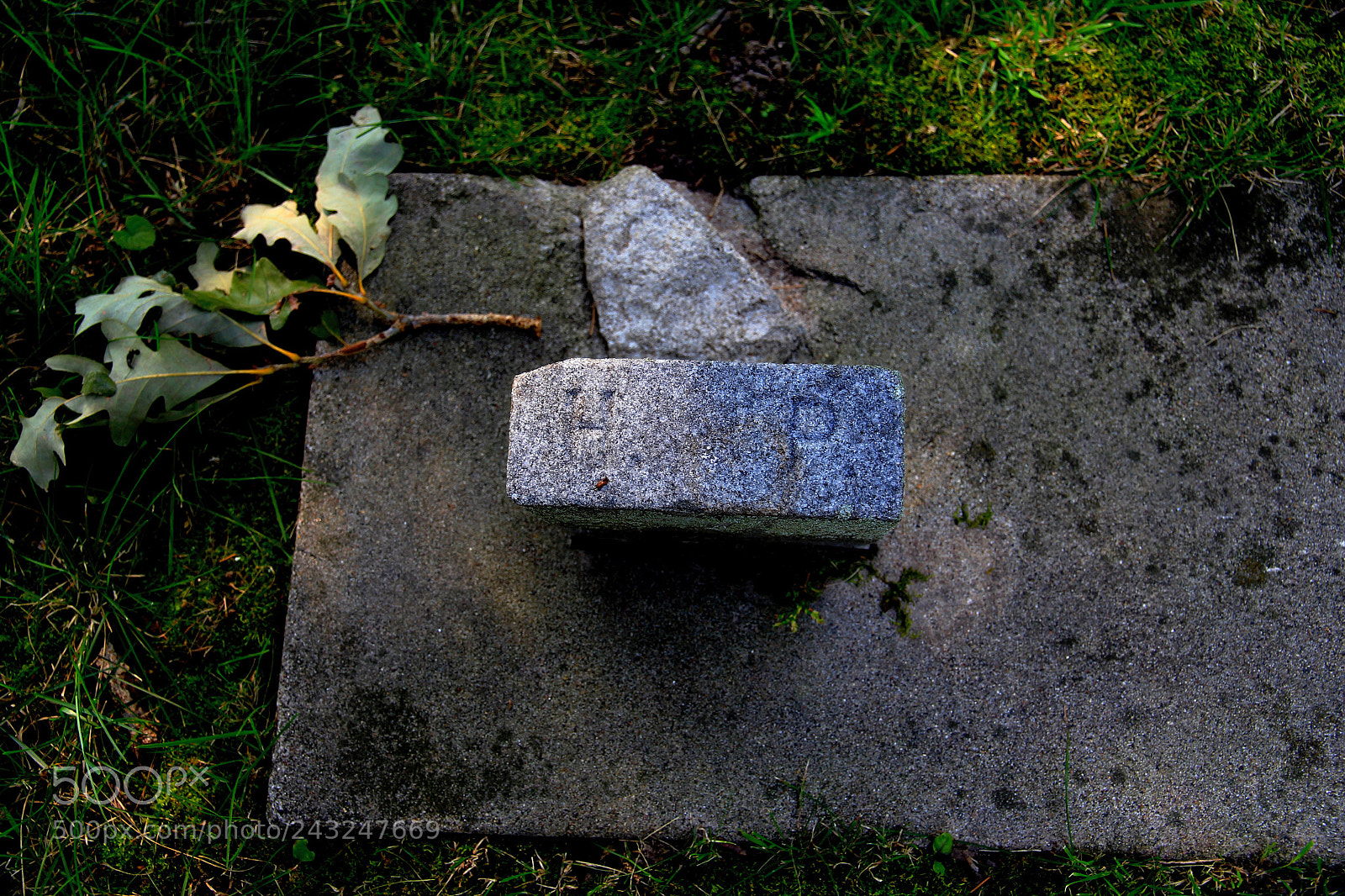 Canon EOS 60D sample photo. Long ago forgotten photography