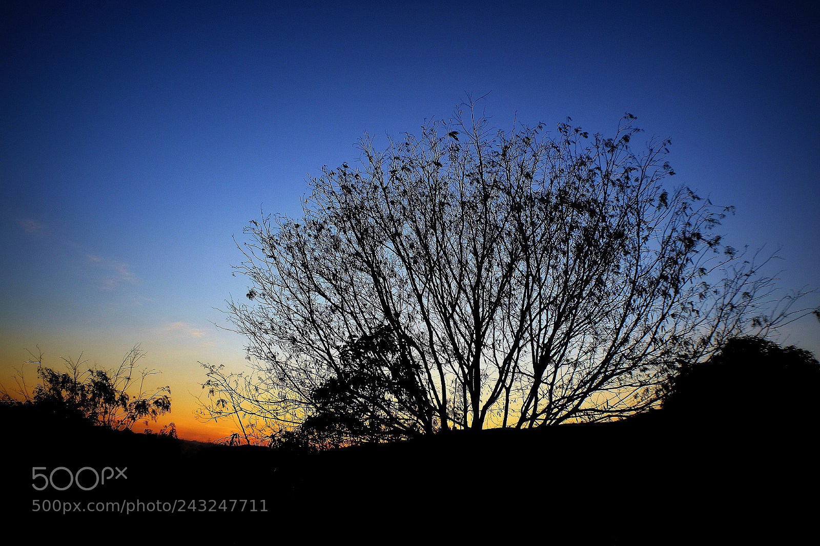 Fujifilm X-T10 sample photo. Twilight zone photography
