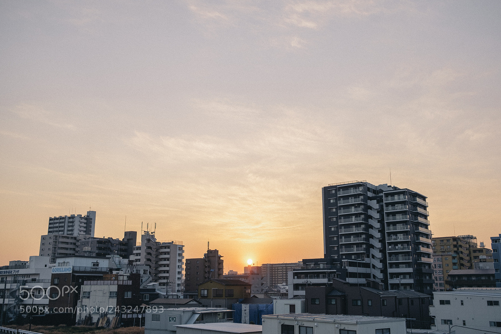Fujifilm X-T10 sample photo. One day in tokyo photography