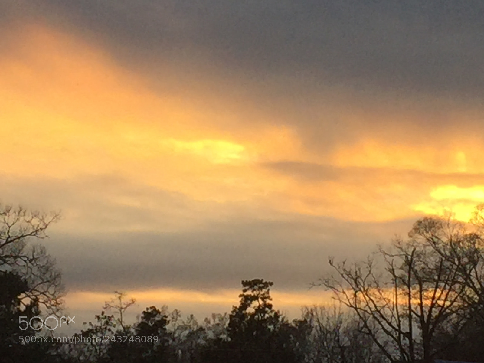 Apple iPhone 6 sample photo. Untitled photography