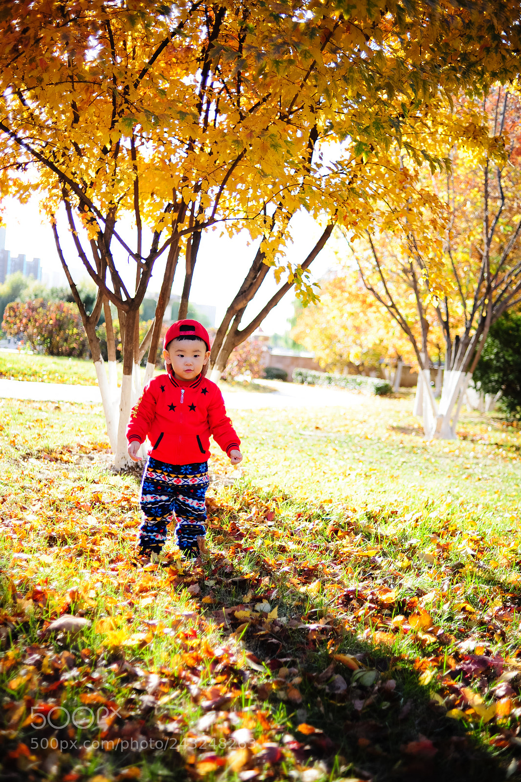 Nikon D3 sample photo. Untitled photography