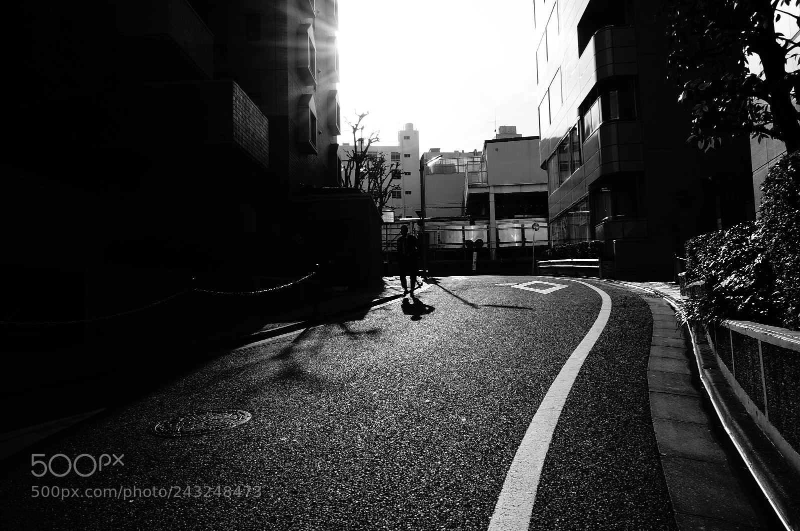 Sony Alpha NEX-5T sample photo. A scene photography