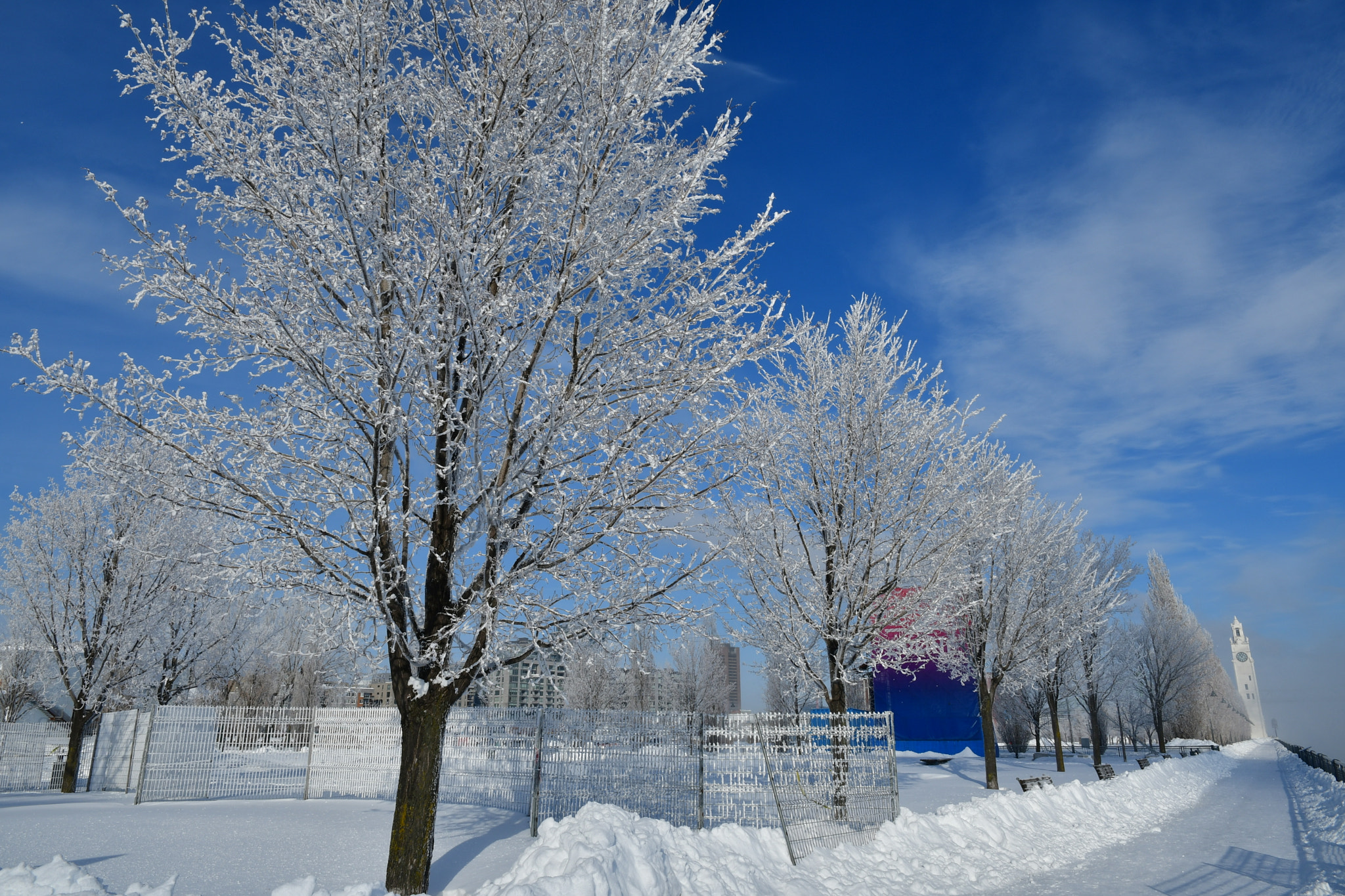Nikon D7500 sample photo. Old port  photography