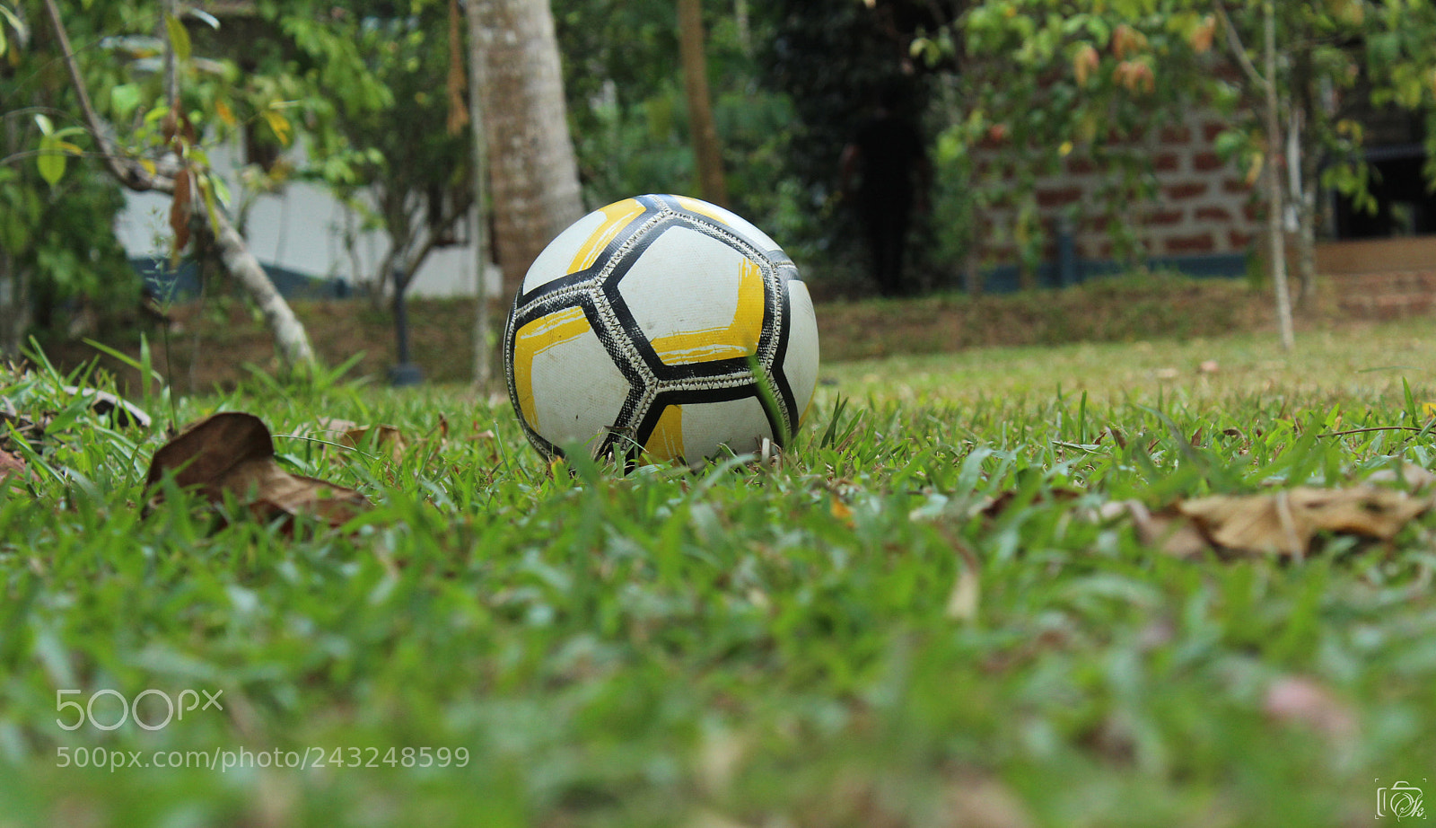 Canon EOS 1300D (EOS Rebel T6 / EOS Kiss X80) sample photo. Waiting for a kick photography