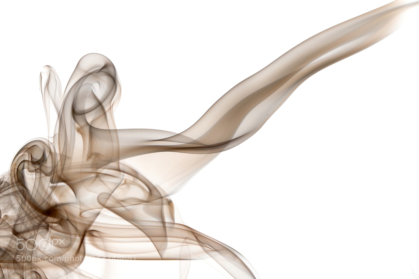 Nikon D500 sample photo. Smoke lady photography
