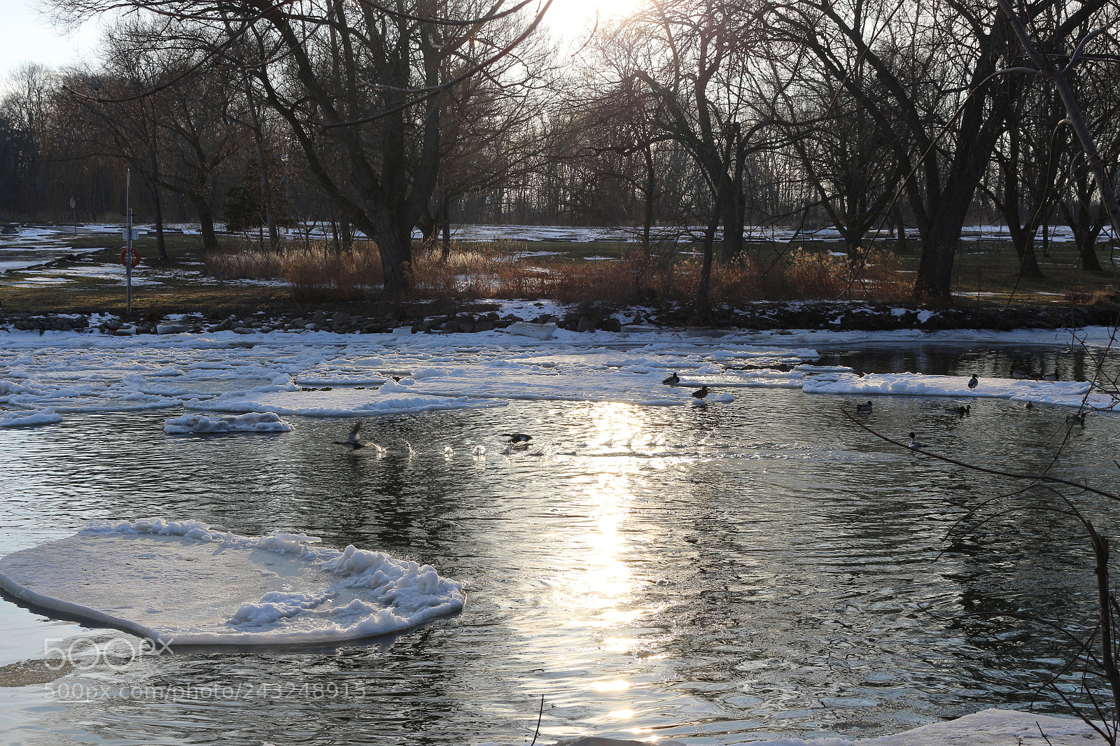 Canon EOS 700D (EOS Rebel T5i / EOS Kiss X7i) sample photo. Img photography