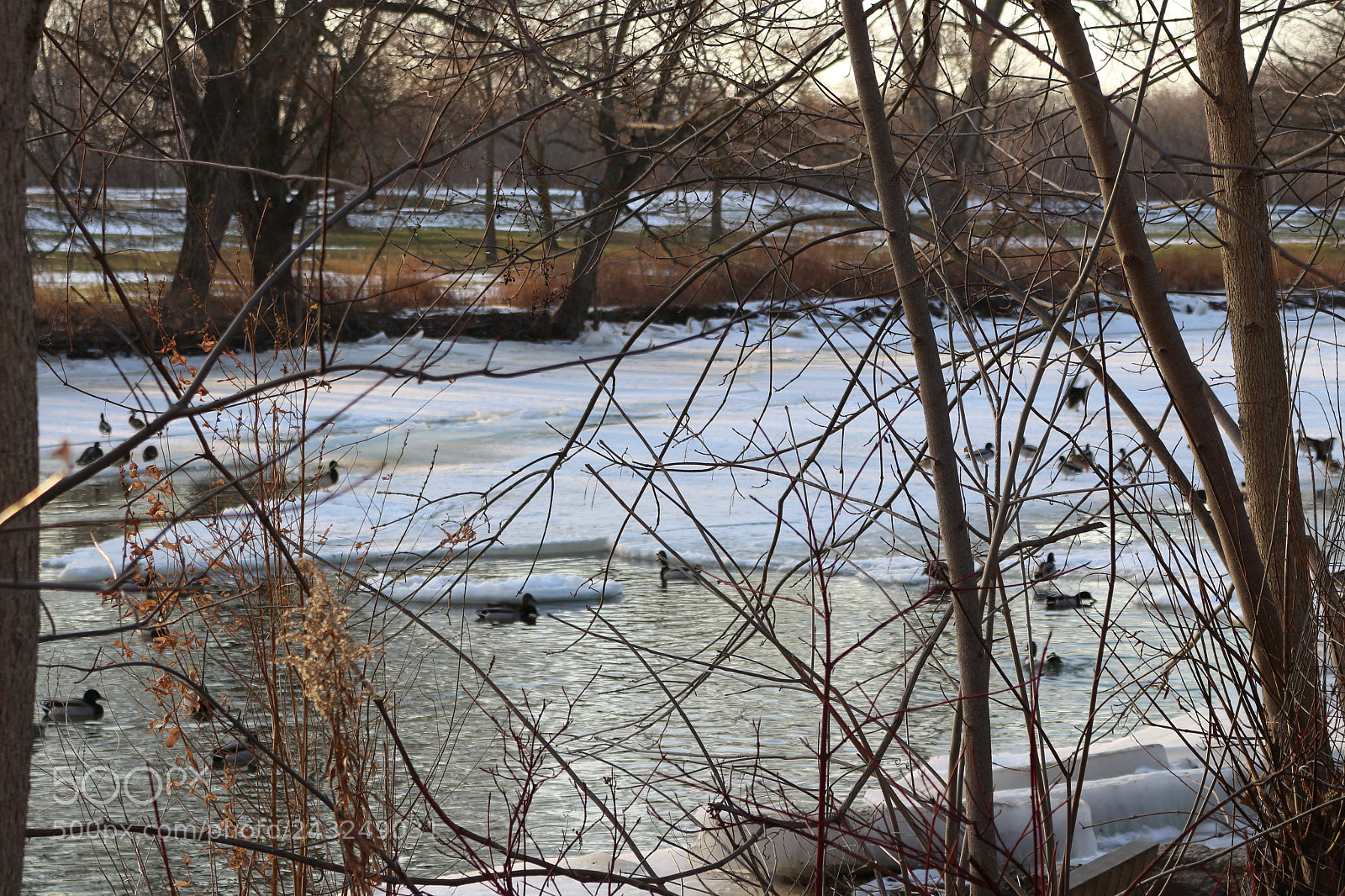 Canon EOS 700D (EOS Rebel T5i / EOS Kiss X7i) sample photo. Img photography