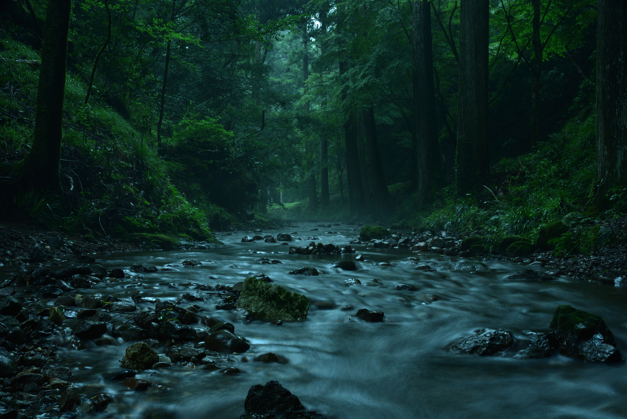 AF Zoom-Nikkor 28-200mm f/3.5-5.6D IF sample photo. River photography