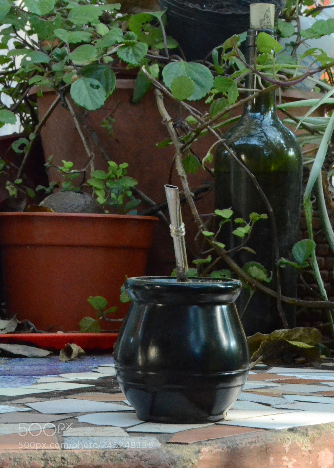 Nikon D5100 sample photo. Mi gran amigo, el photography