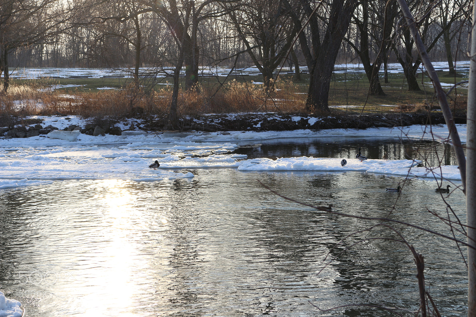 Canon EOS 700D (EOS Rebel T5i / EOS Kiss X7i) sample photo. Img photography