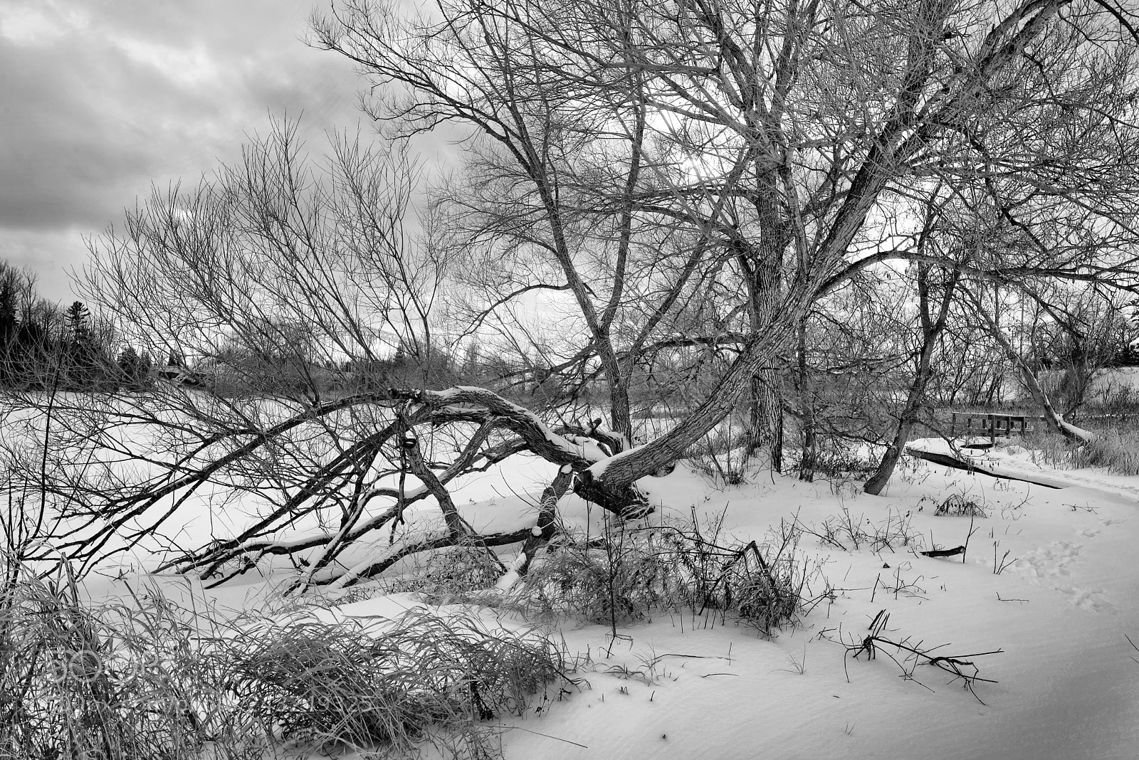Nikon D610 sample photo. Perspective of winter photography