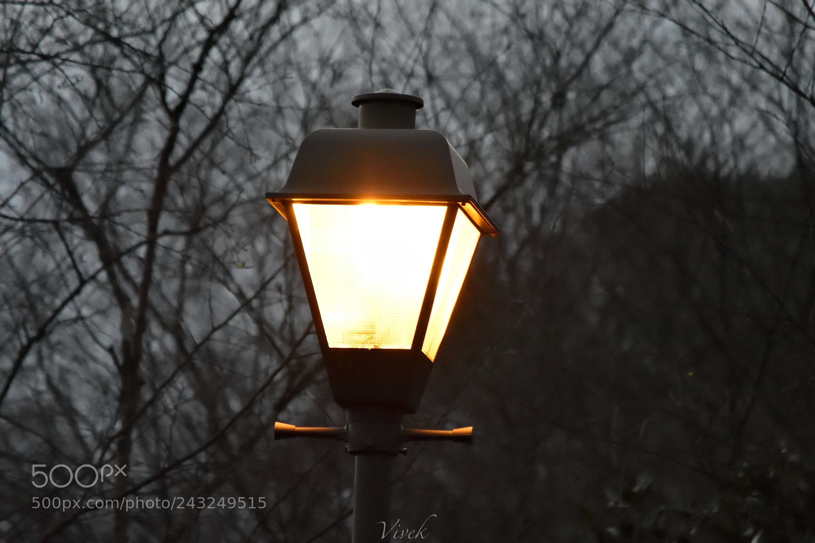 Nikon D7200 sample photo. Lamp photography