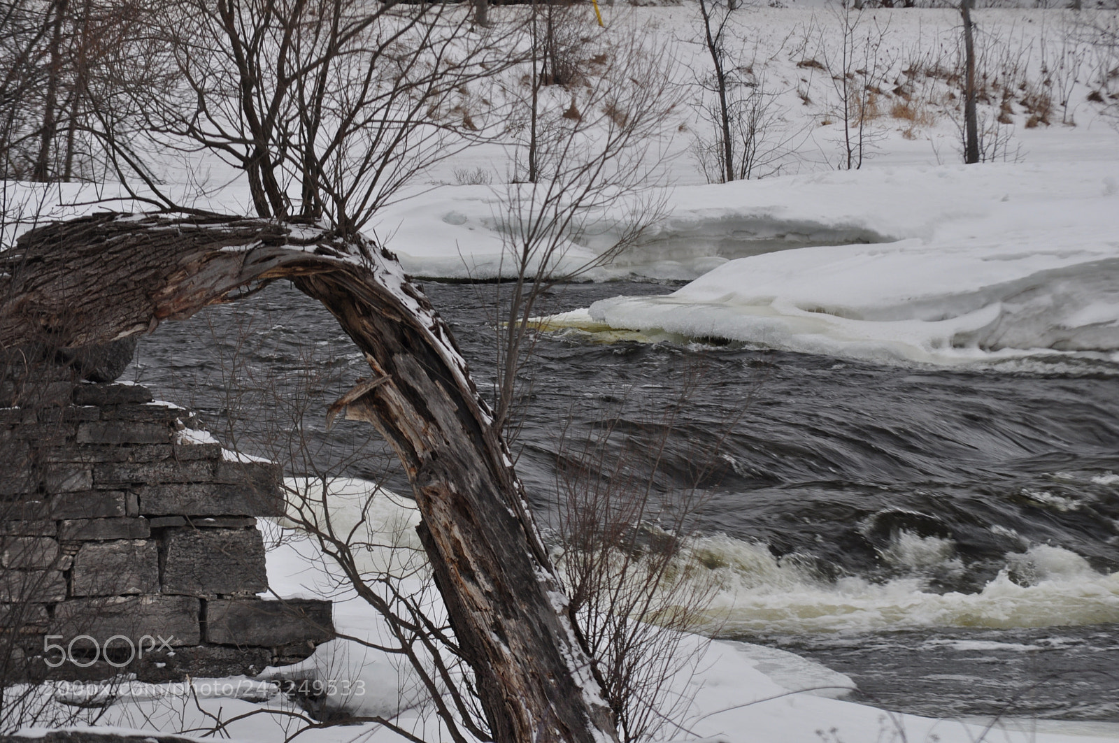 Nikon D5000 sample photo. There she flows photography