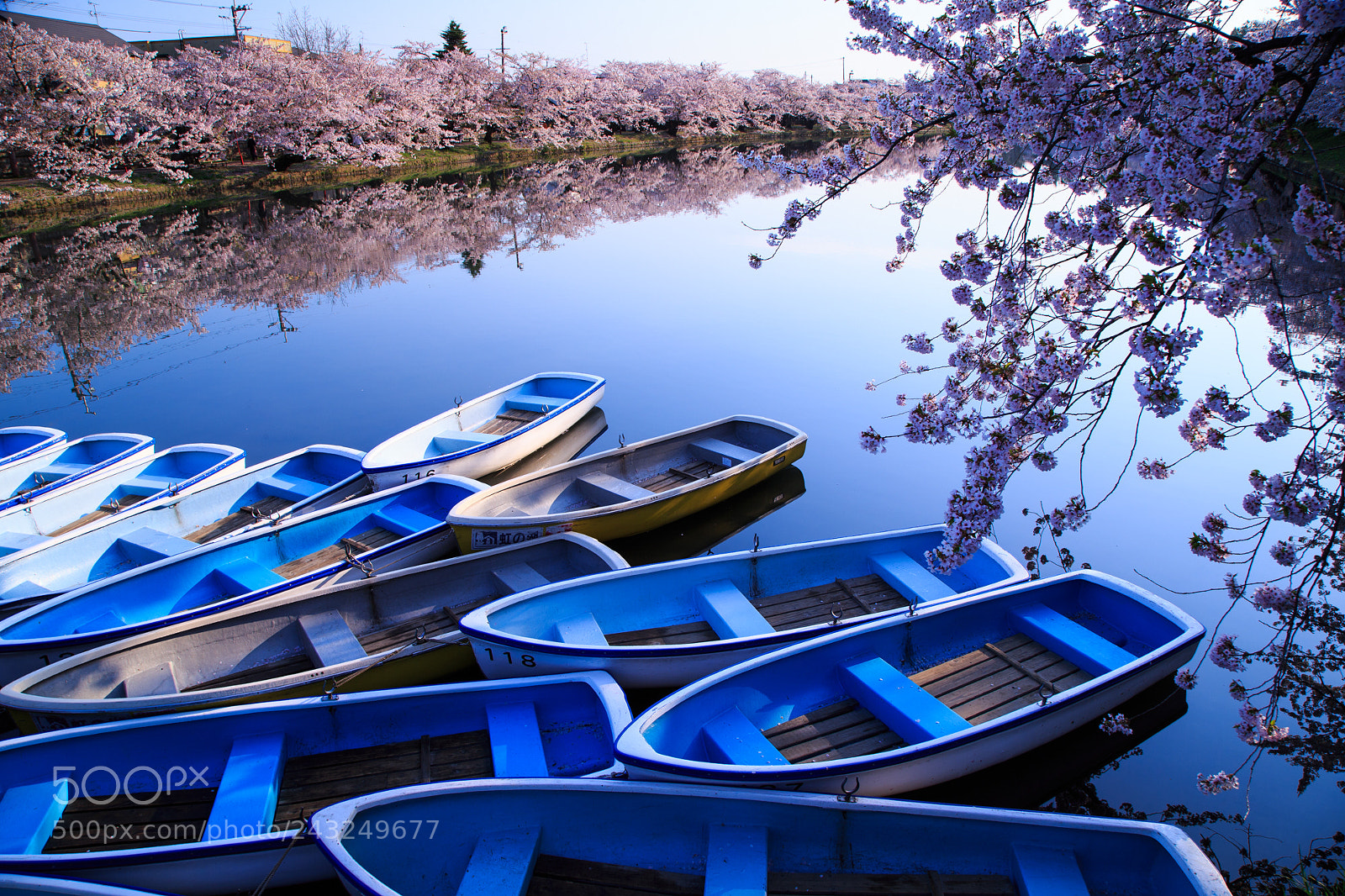Canon EOS-1D X sample photo. Hirosaki park photography