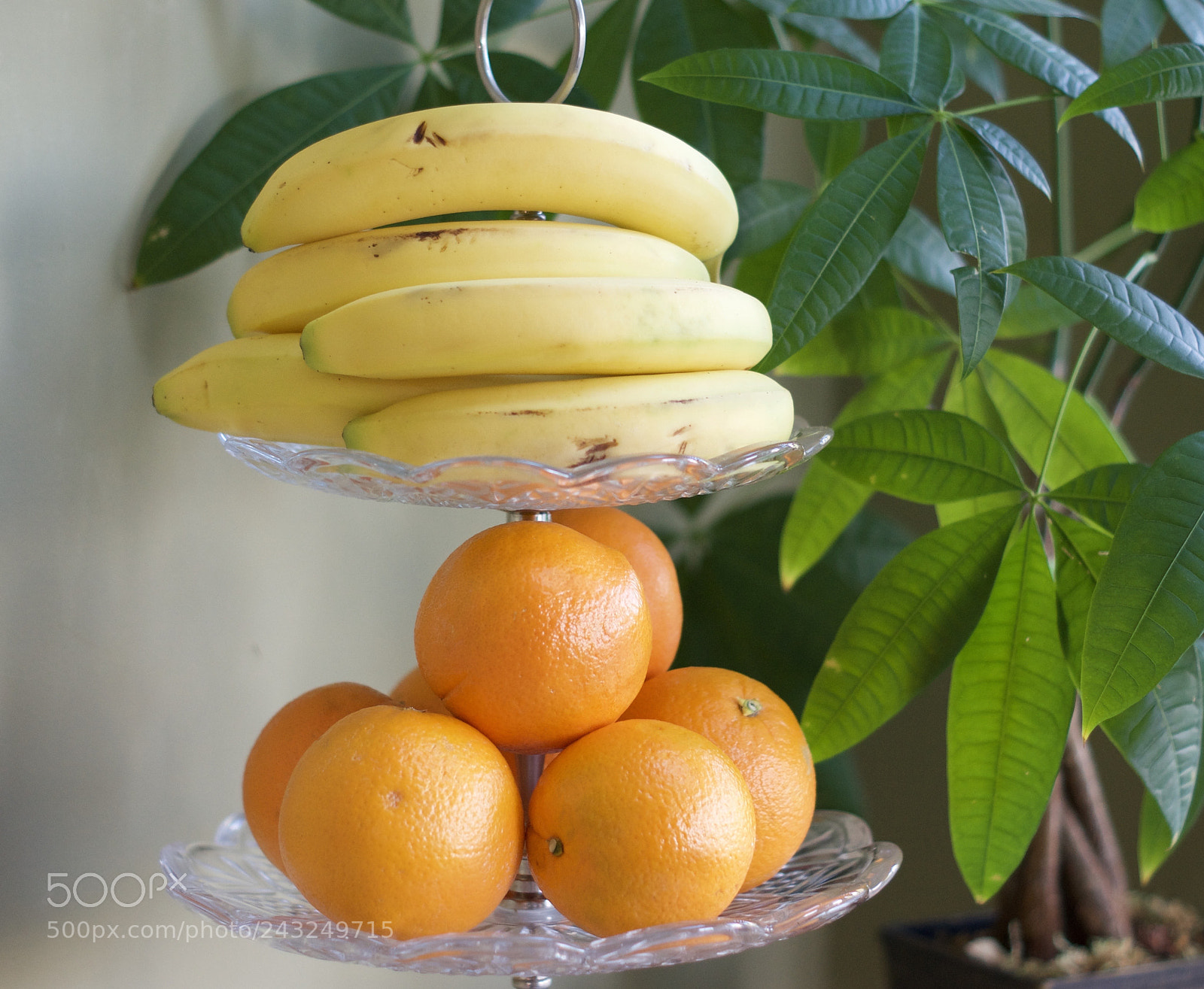 Sony SLT-A55 (SLT-A55V) sample photo. Untitled photography