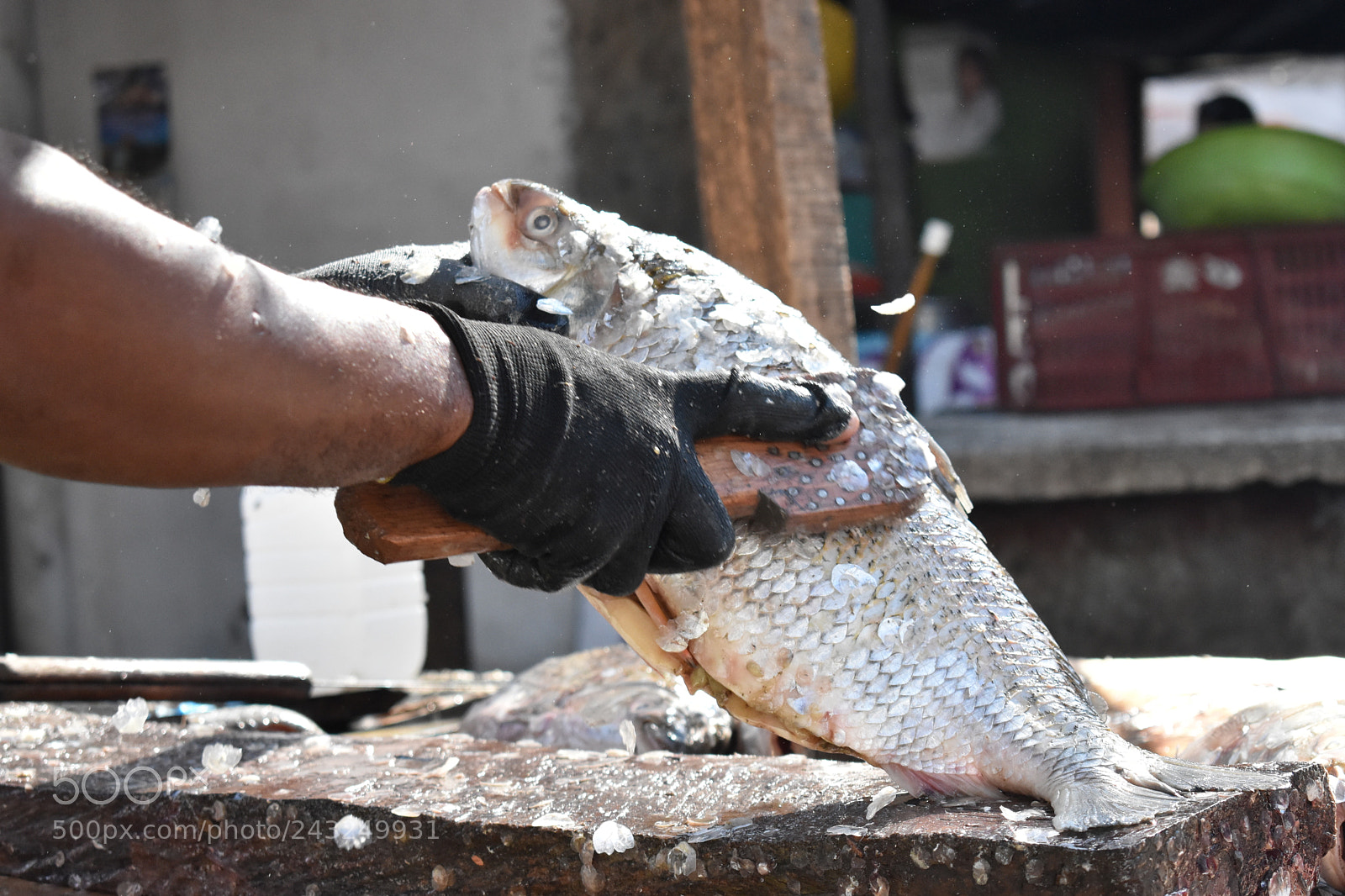 Nikon D5600 sample photo. Mercado de bazurto, cartagena photography