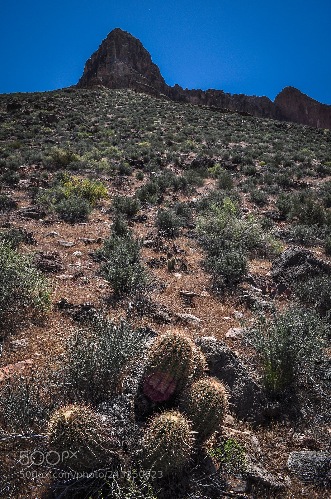 Nikon D5000 sample photo. Grand canyon backpacking trip photography