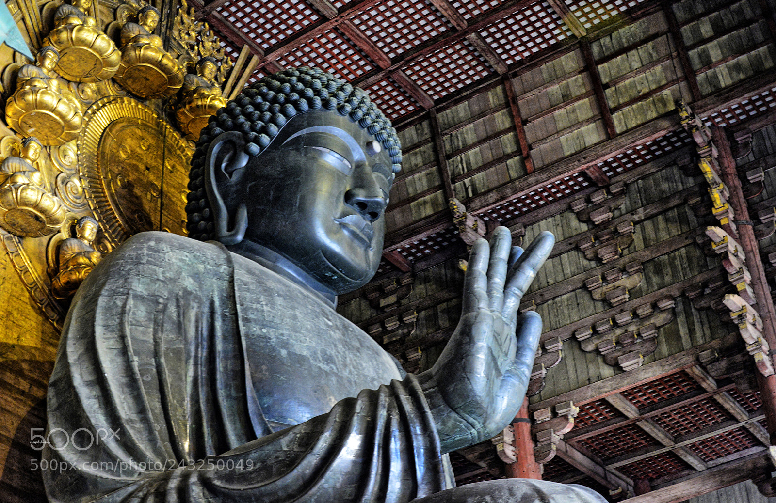 Nikon D800 sample photo. Nara buddha photography