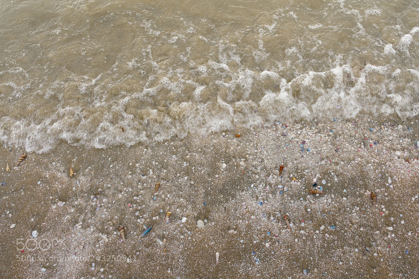 Canon EOS 40D sample photo. Beach with snails and photography