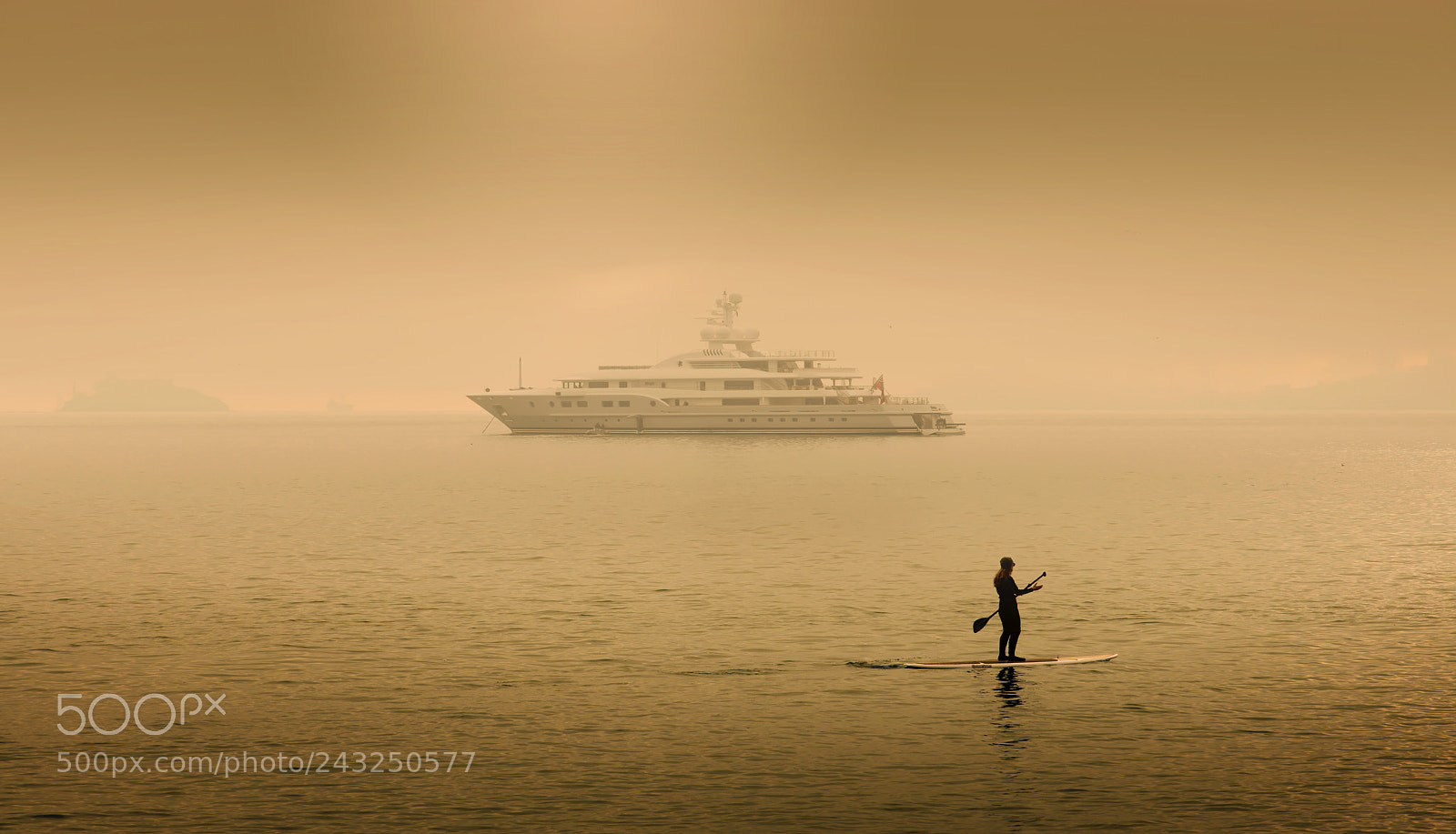 Nikon D800E sample photo. Morning fog photography