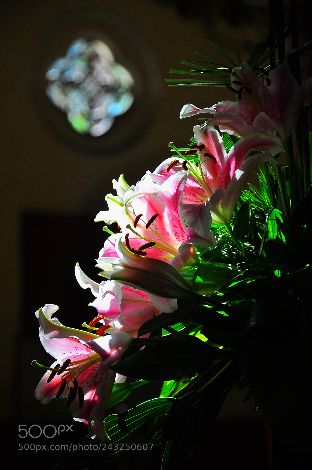 Nikon D90 sample photo. Untitled photography