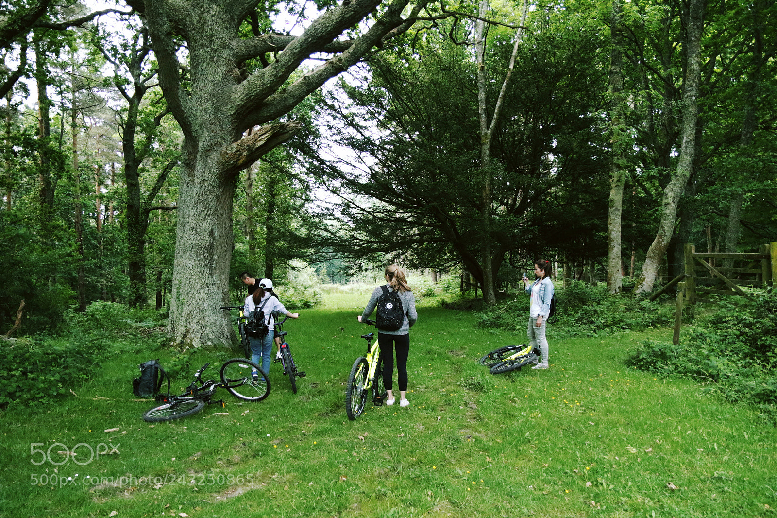 Canon EOS 7D Mark II sample photo. Biking day in the photography