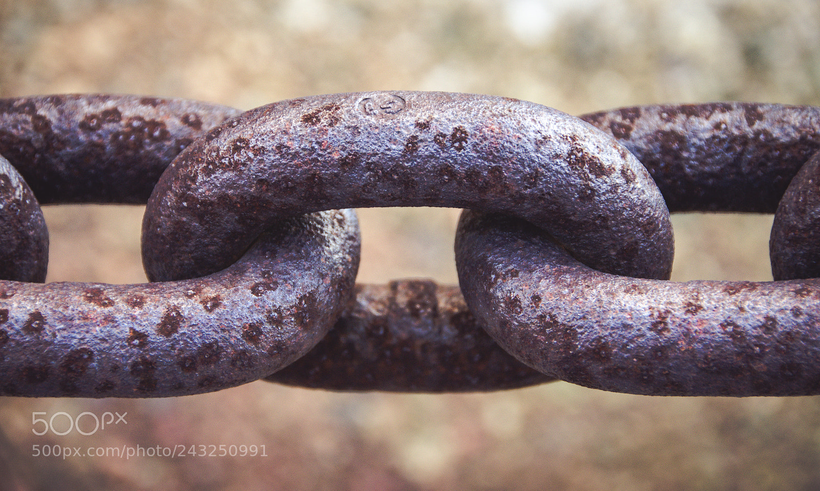 Nikon D5100 sample photo. Chain texture photography