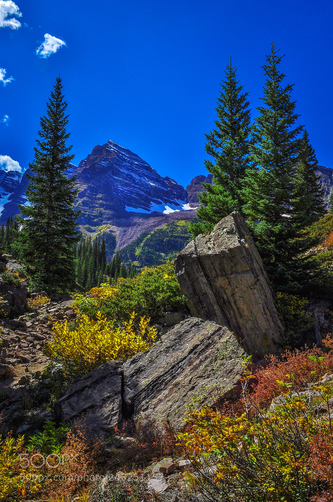 Nikon D5000 sample photo. Alpine rock garden photography