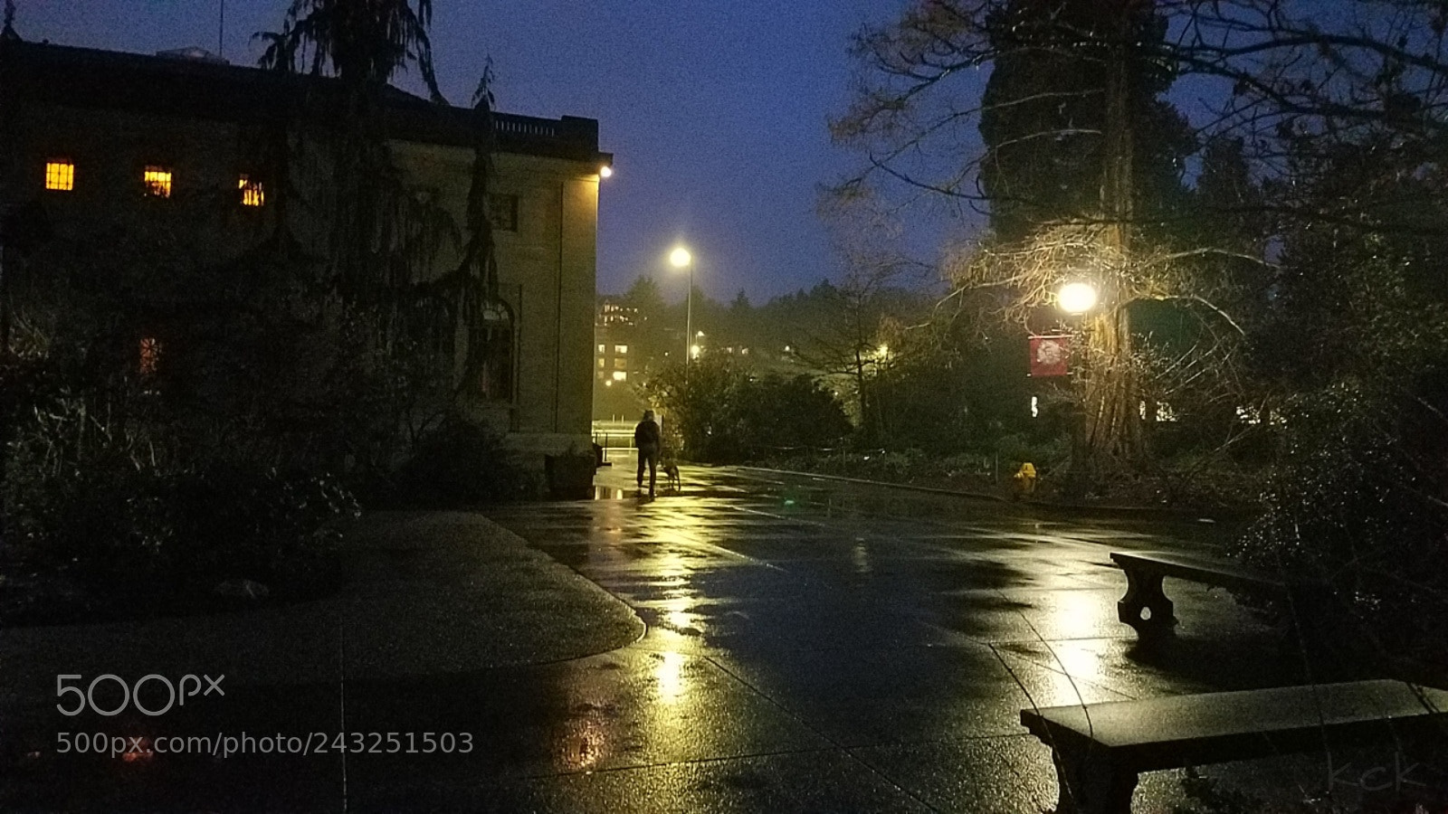Samsung Galaxy S7 sample photo. Night vibes. photography