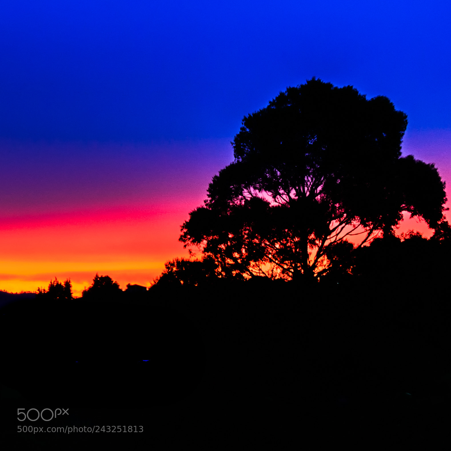 Canon EOS 750D (EOS Rebel T6i / EOS Kiss X8i) sample photo. Sunset photography