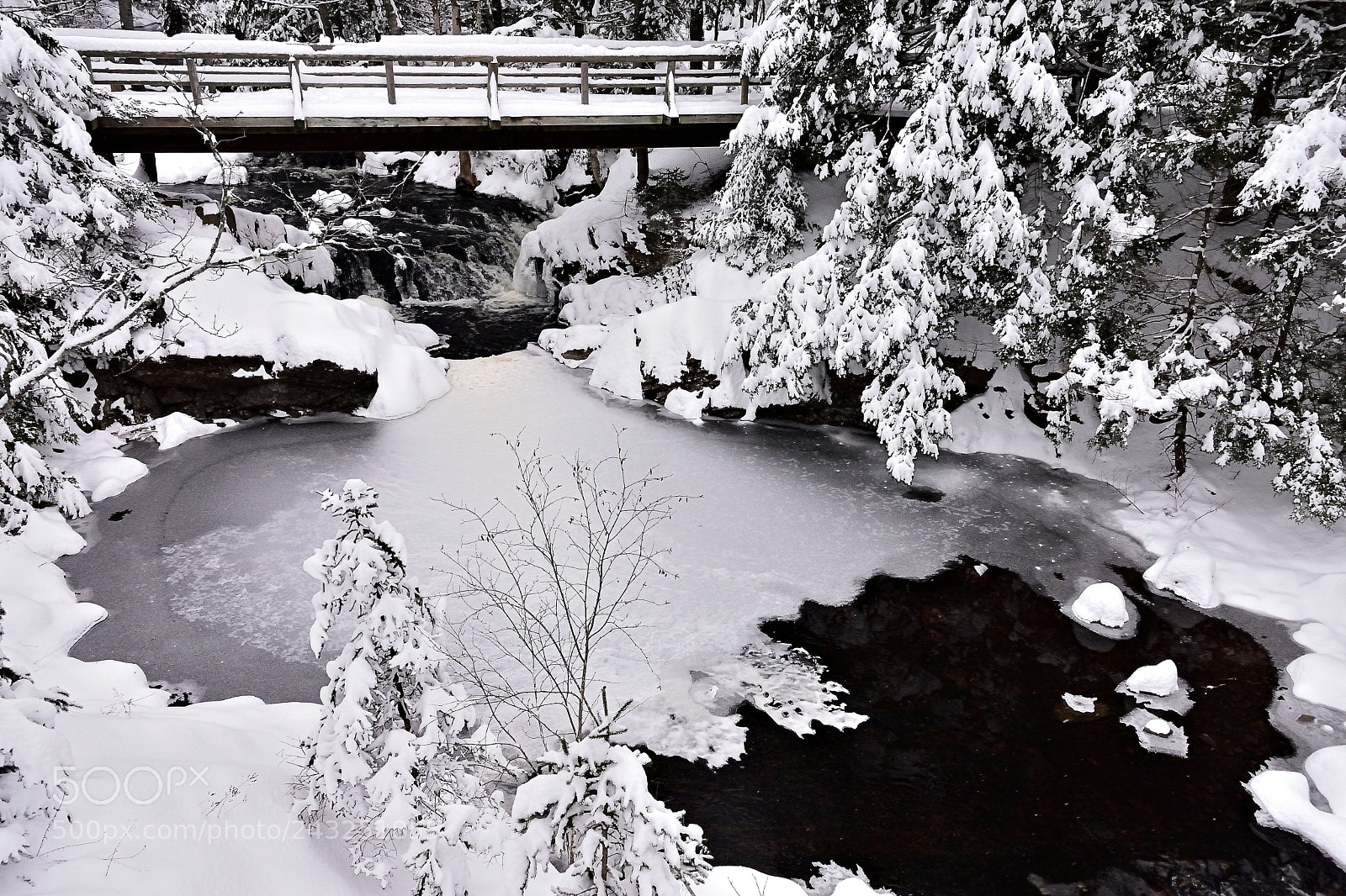 Nikon 1 J5 sample photo. Bridge over winter brook photography