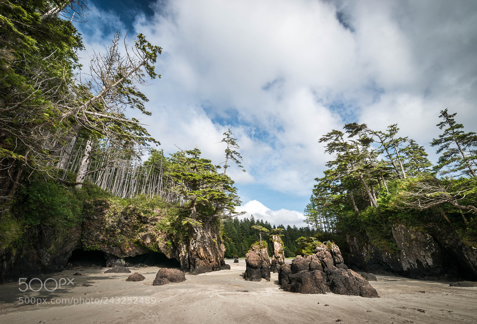 Nikon D5500 sample photo. San josef bay photography