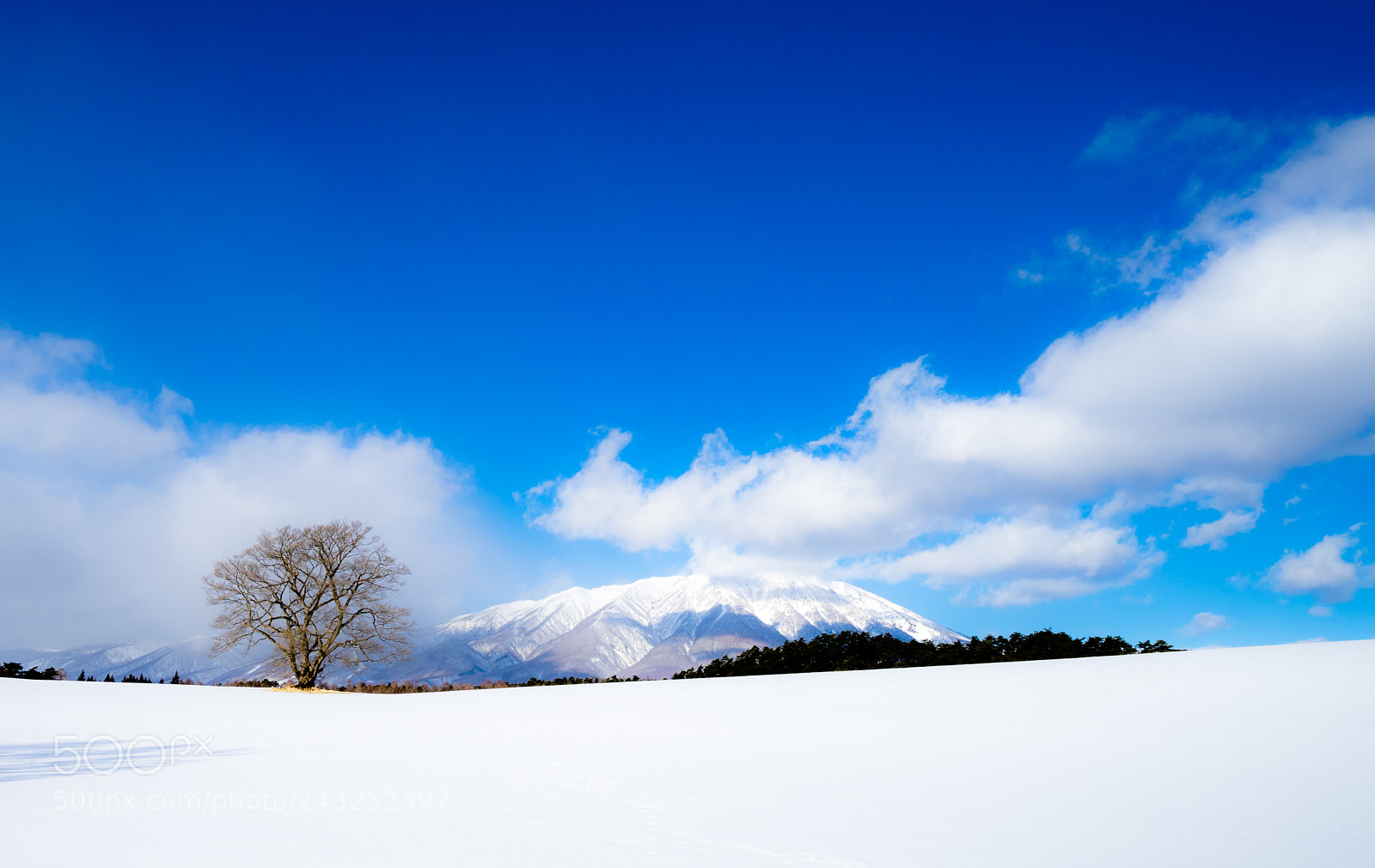Sony a7 II sample photo. Koiwai photography