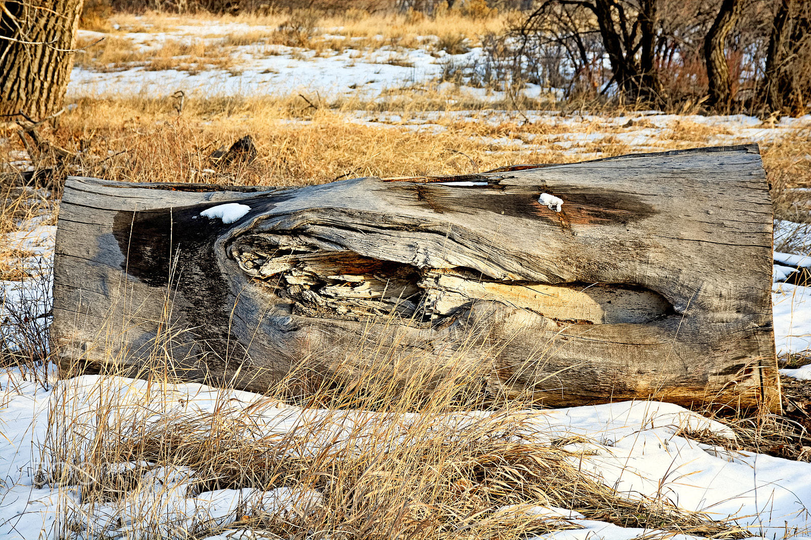 Nikon D7100 sample photo. Cherry creek winter study 3 photography