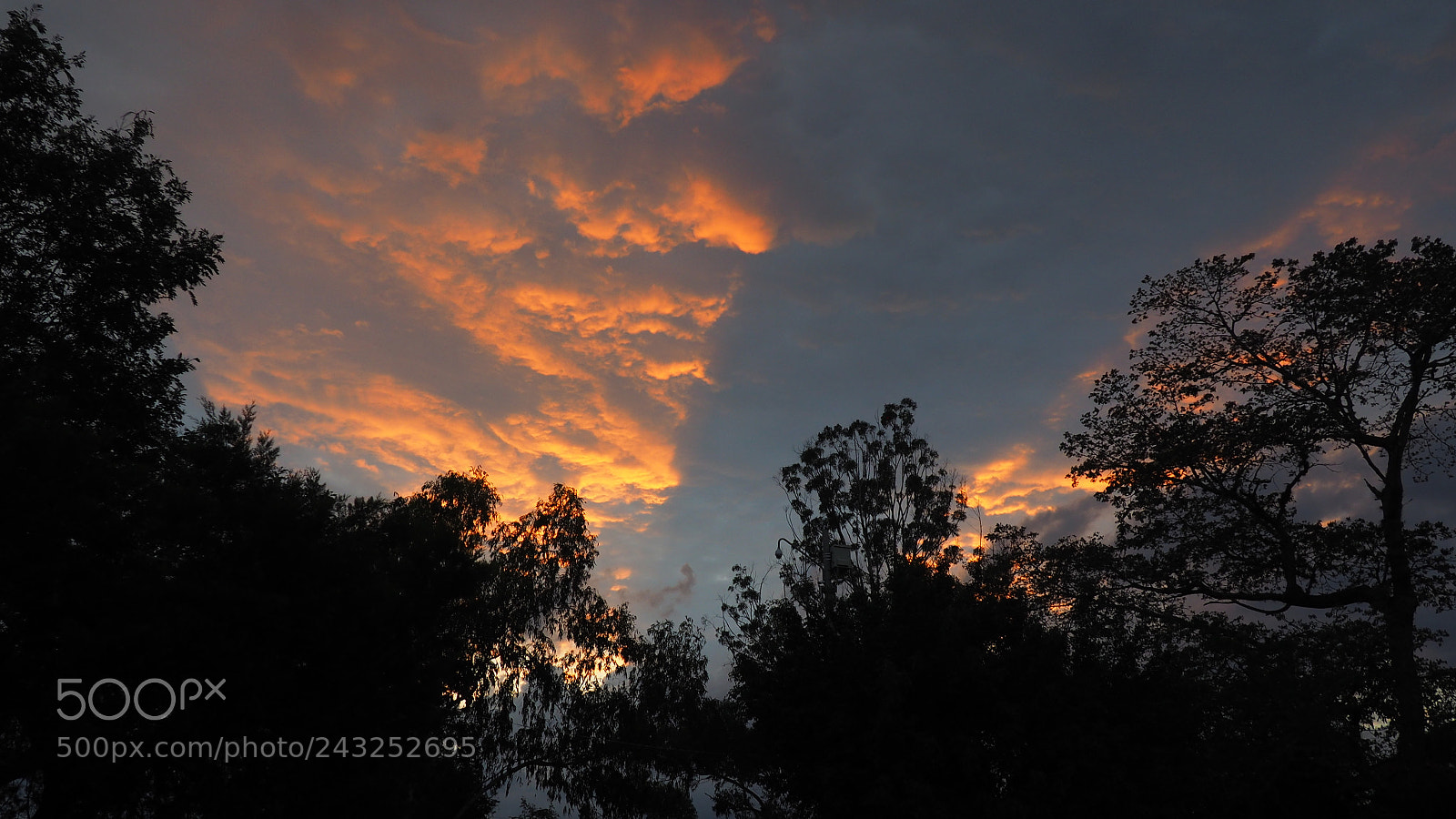 Olympus OM-D E-M10 II sample photo. Sunset at barichara photography