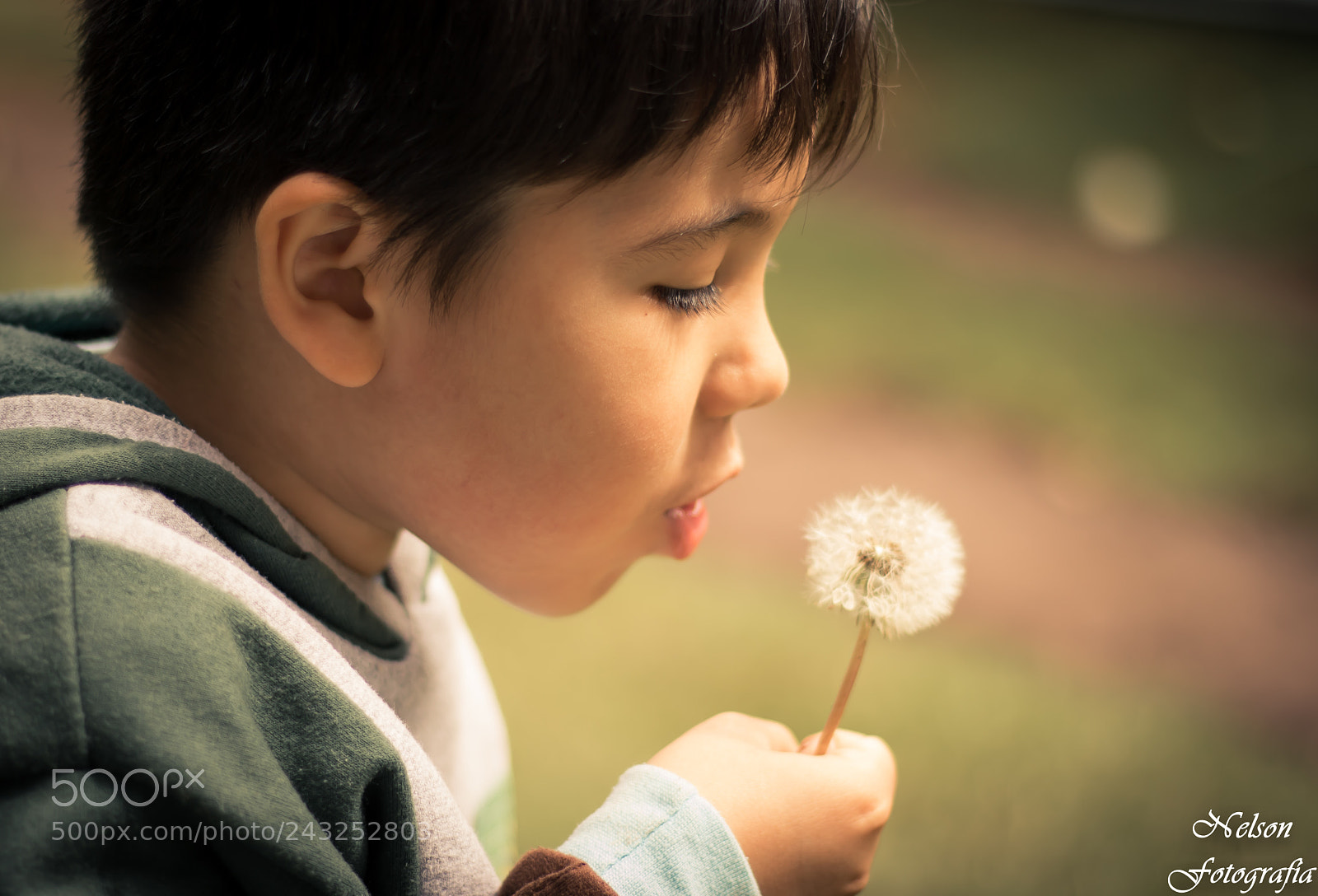 Canon EOS 760D (EOS Rebel T6s / EOS 8000D) sample photo. Untitled photography