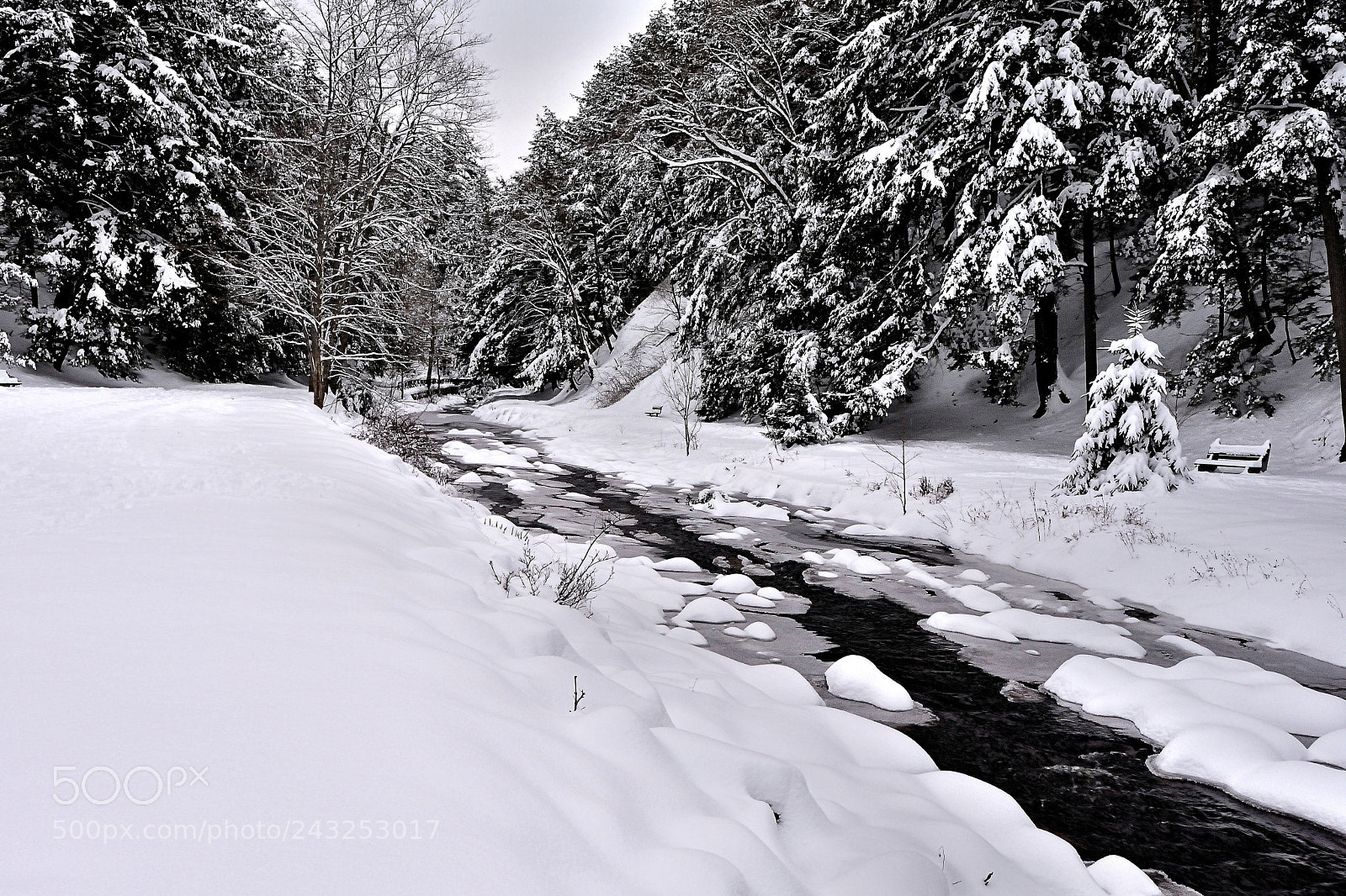 Nikon 1 J5 sample photo. Winter creek ii photography
