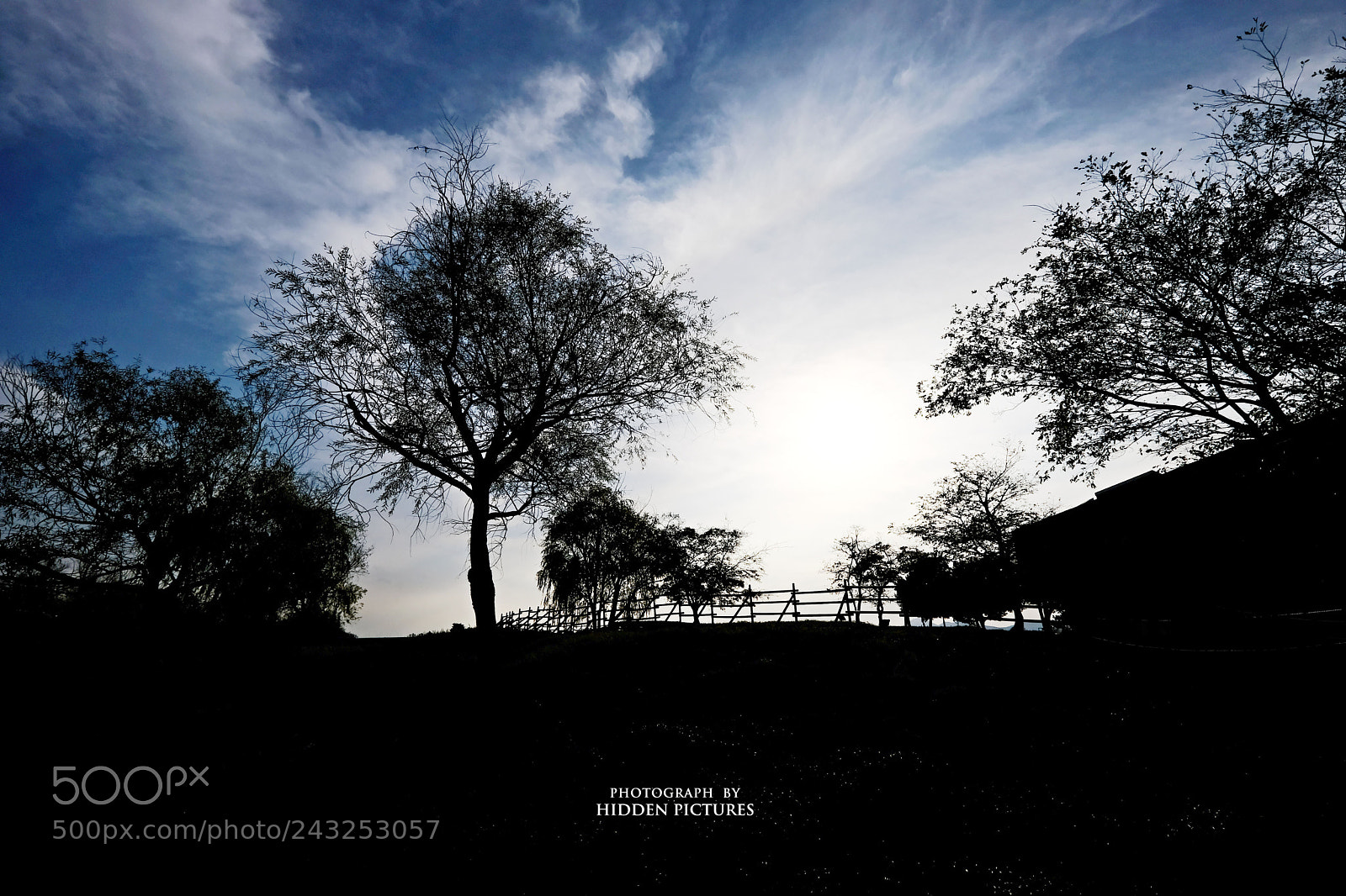 Fujifilm X-T2 sample photo. Untitled photography