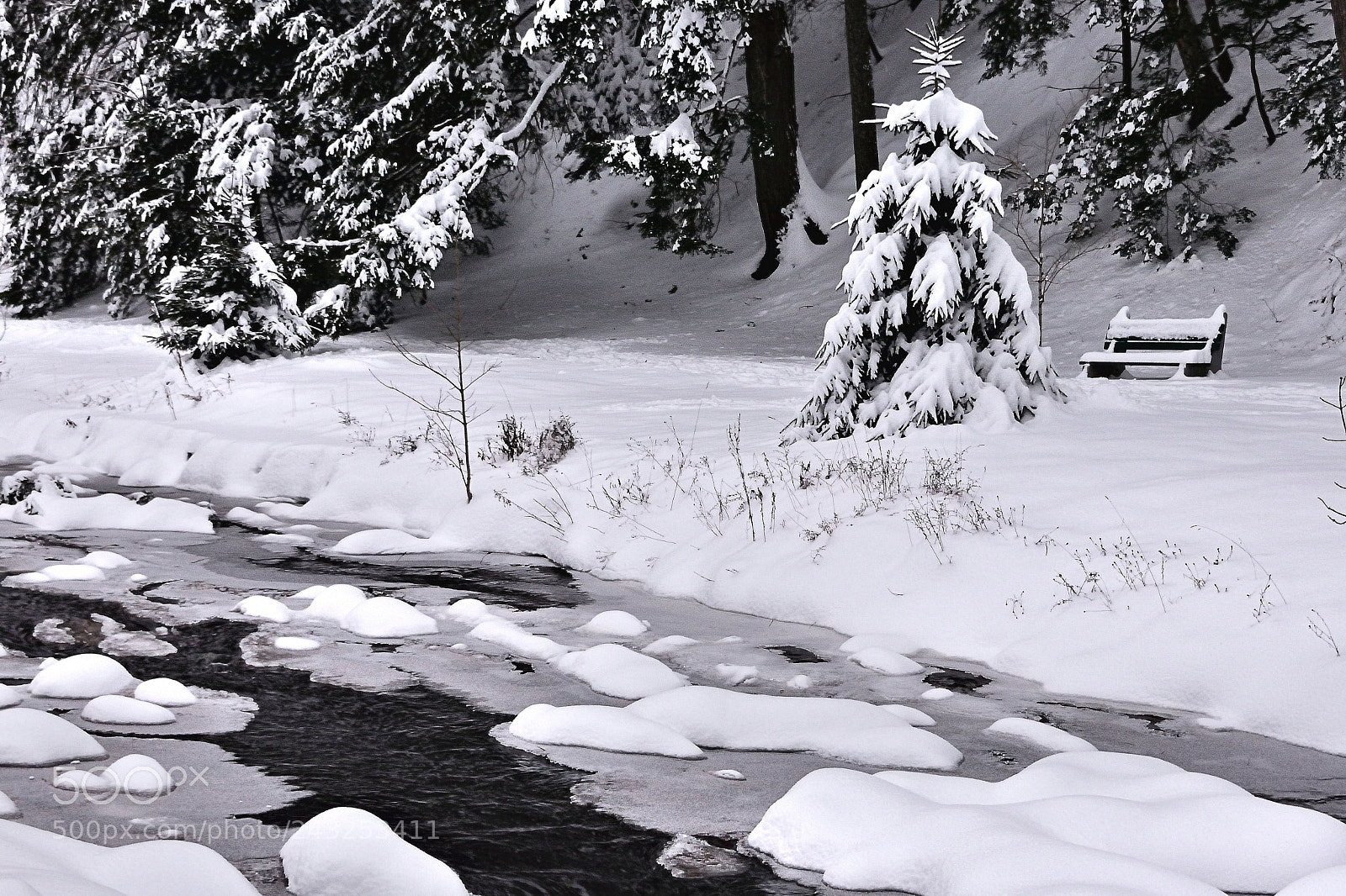 Nikon 1 J5 sample photo. Winter solitude photography