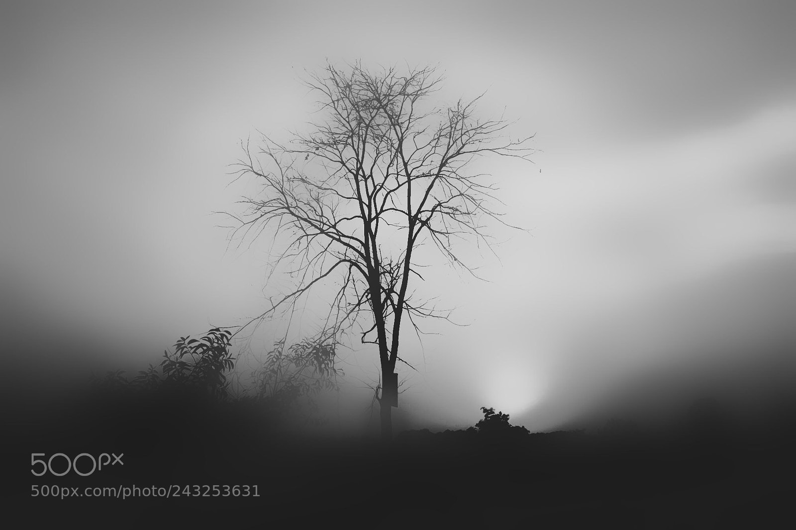 Fujifilm X-T1 sample photo. Blackandwhite photography