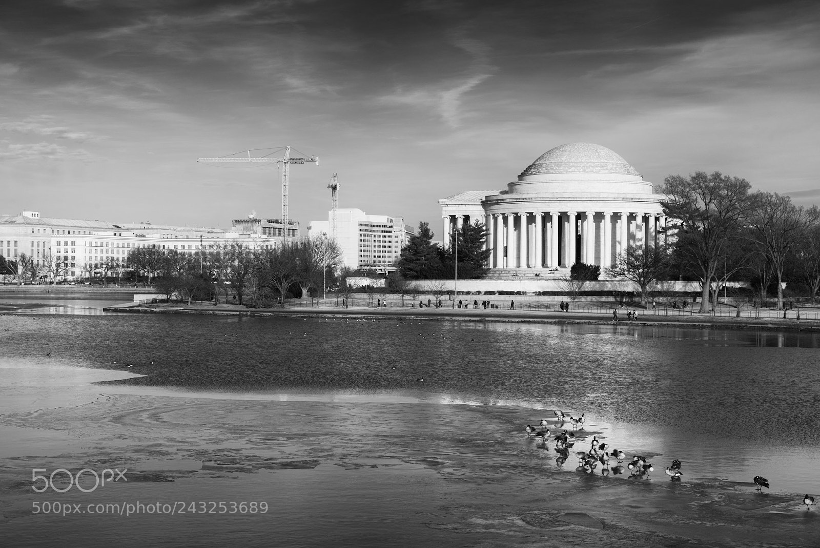 Nikon D800 sample photo. Jefferson memorial photography