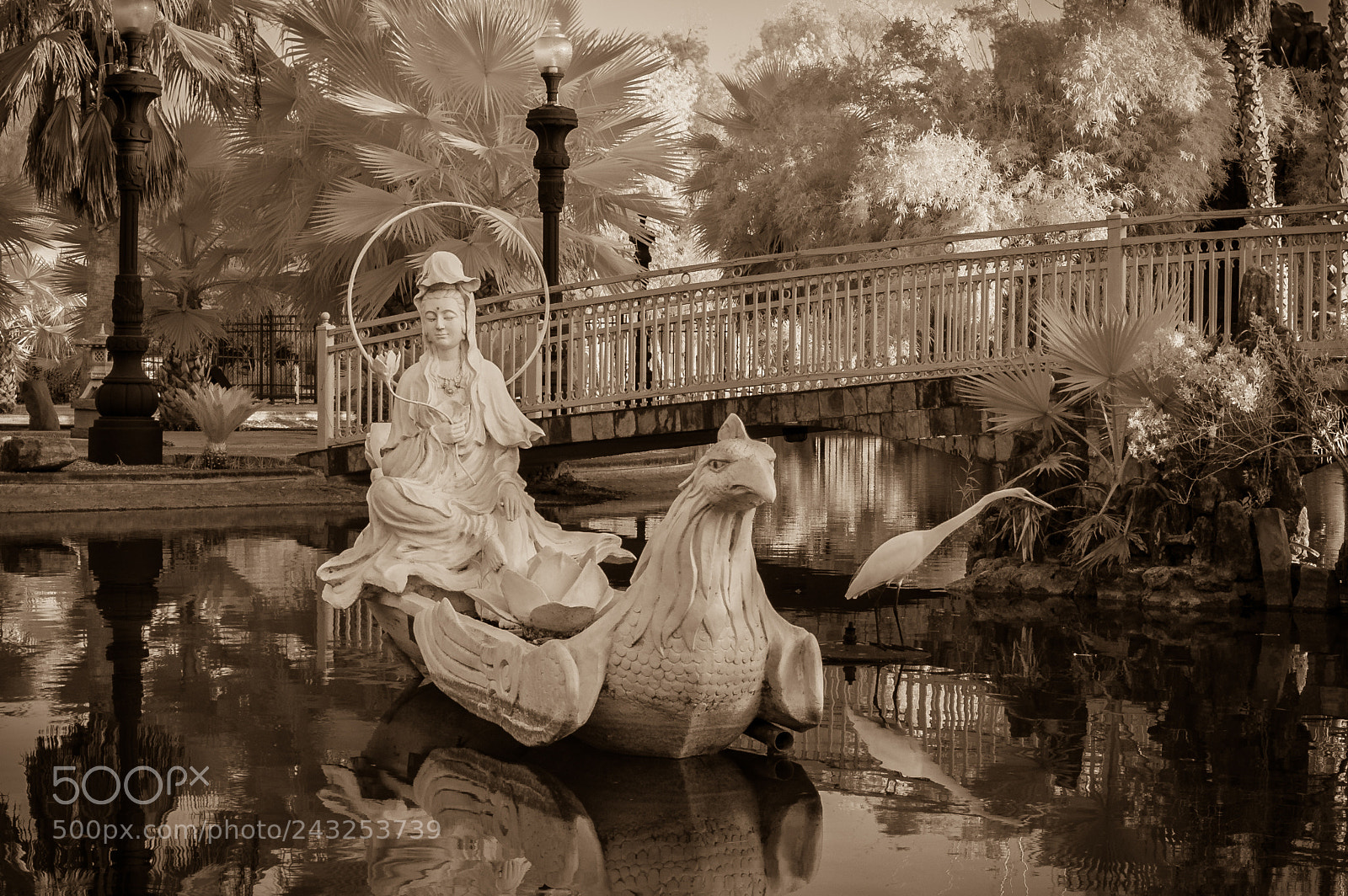 Nikon D50 sample photo. Vietnamese buddhist center, sugar photography