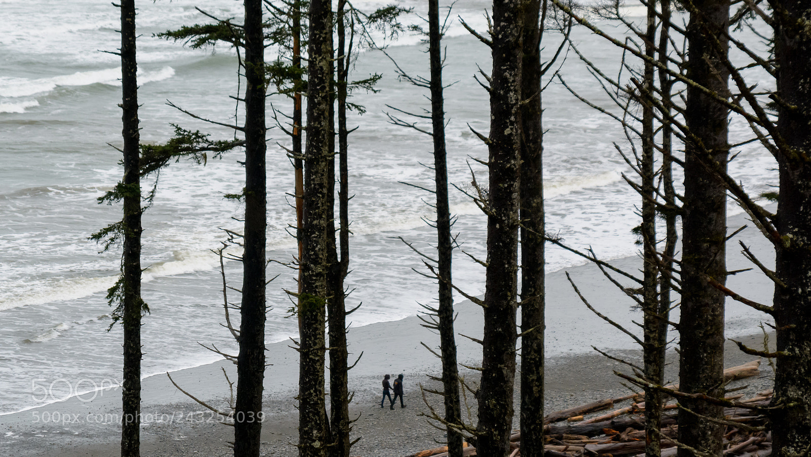Nikon D7100 sample photo. Romantic walk on the photography