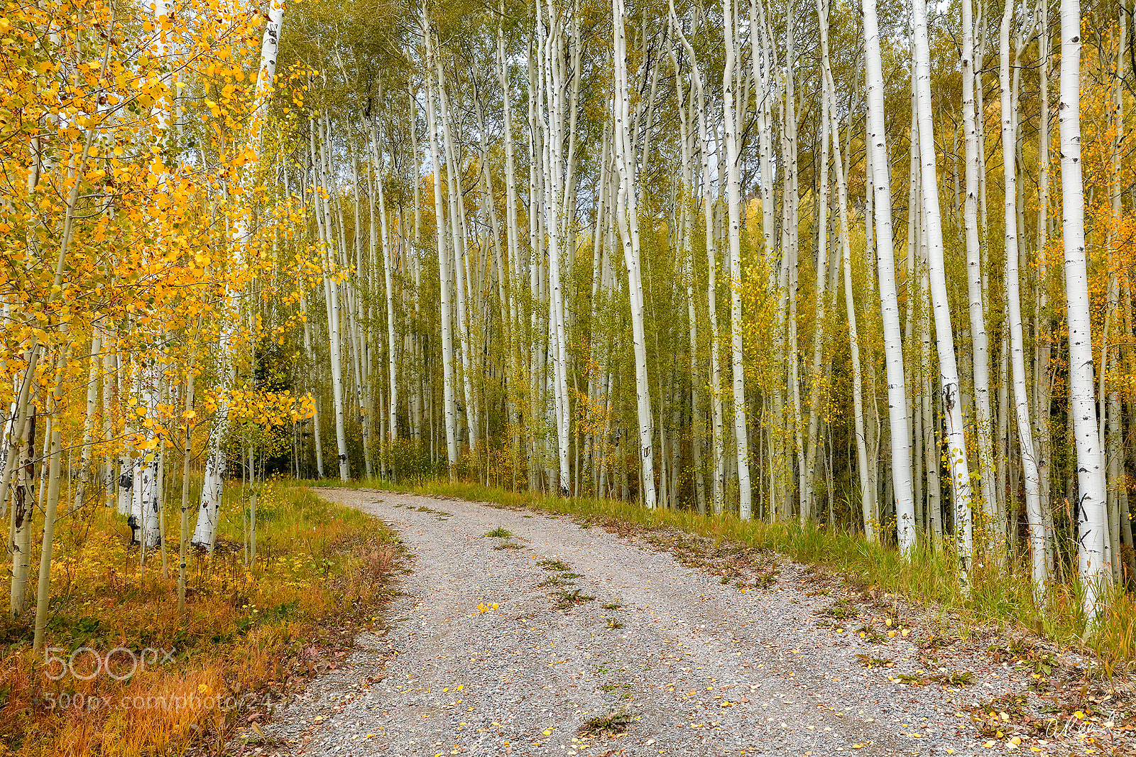 Canon EOS 5DS R sample photo. Choose your own adventure photography