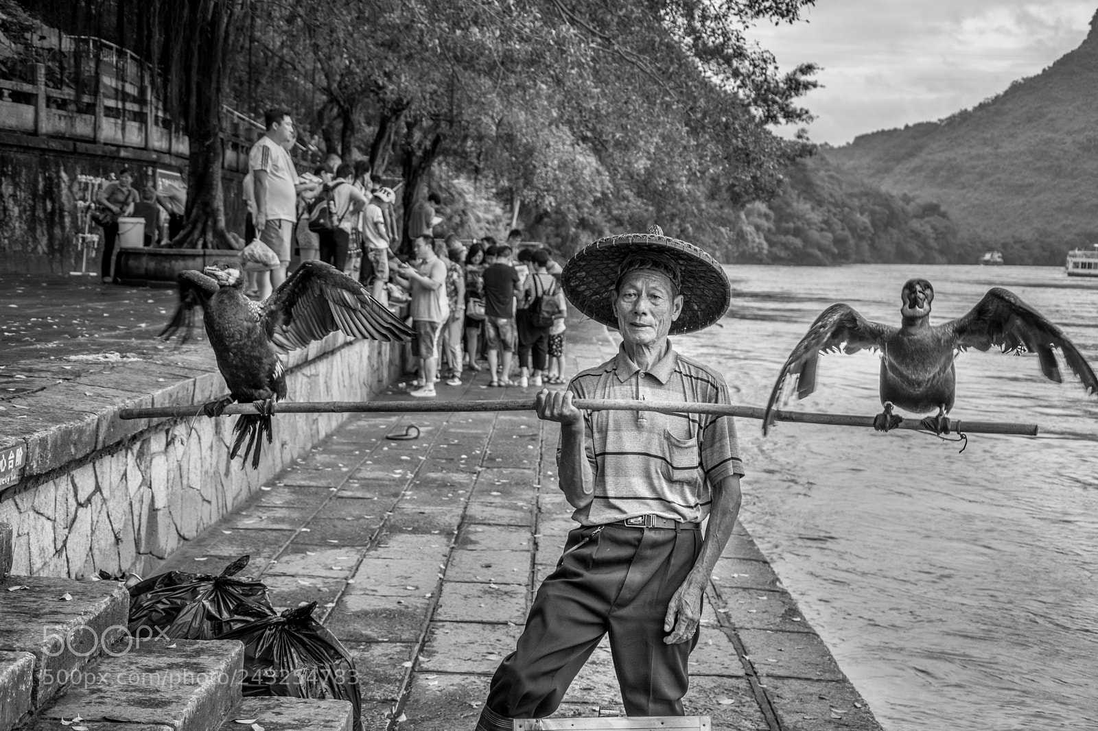 Nikon D7100 sample photo. The bird show photography
