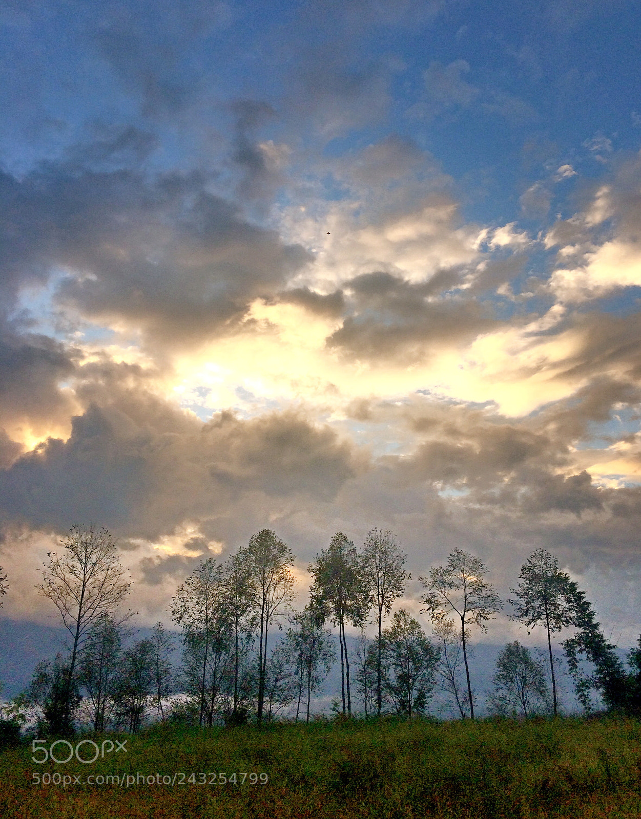 Apple iPhone 5s sample photo. Morning photography