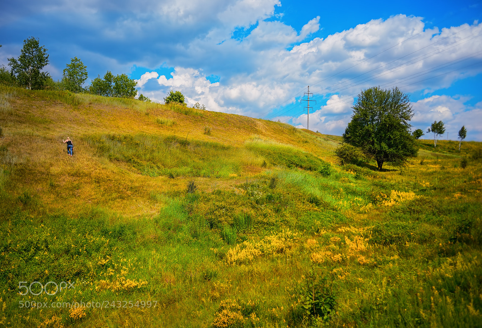 Nikon D800E sample photo. Ravine photography